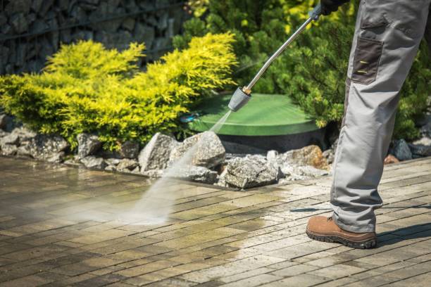 Best Sidewalk and Walkway Cleaning  in Tamiami, FL